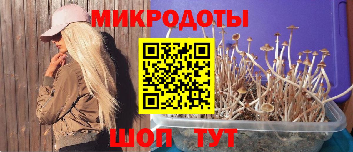 Псилоцибиновые грибы Psilocybine cubensis  продажа наркотиков  Тамбов  Вход с VPN  Галлюциногенные грибы мухоморы 