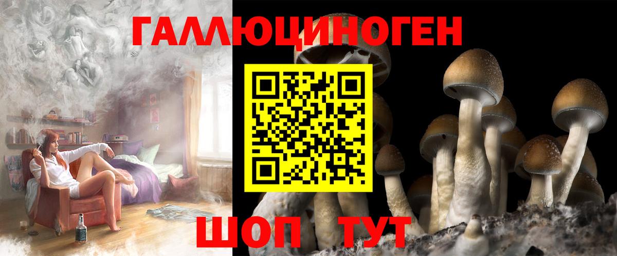 Псилоцибиновые грибы мицелий Тамбов